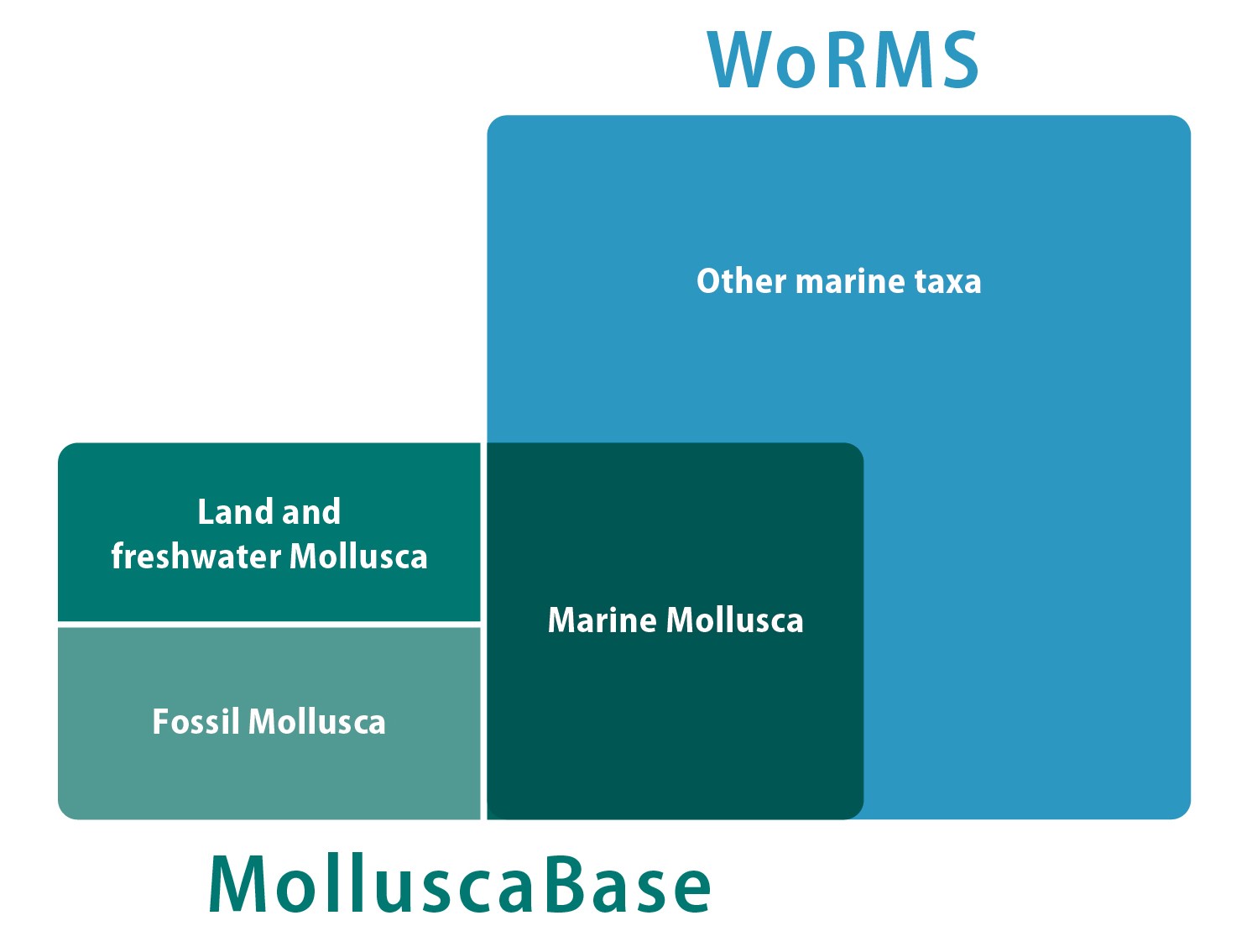 relation_mb_worms